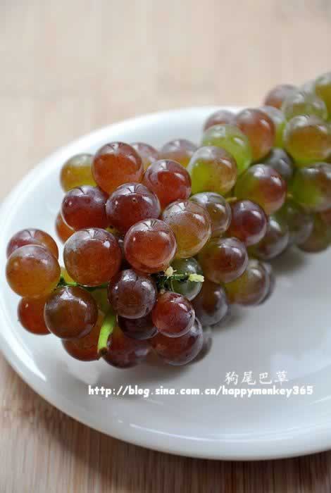 ���ϴ���ѵ�����