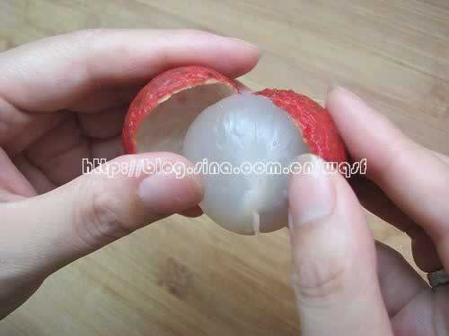 ��֦���ɰ��������е�����