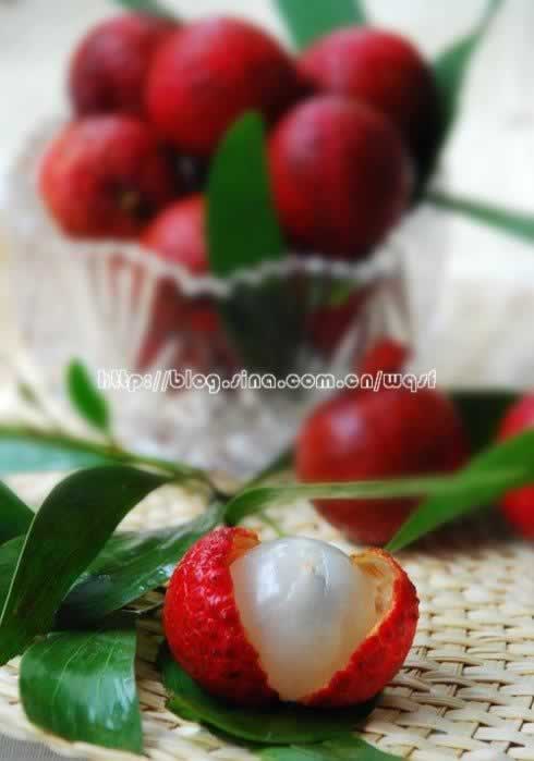 ��֦���ɰ��������е�����