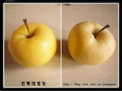 ������ϴƻ���޶����ɾ�������