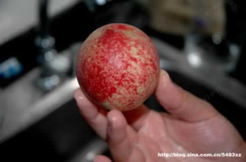 ��ϴ��ë�����е�����