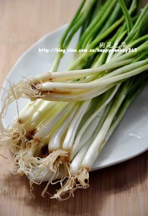 С�еı��������