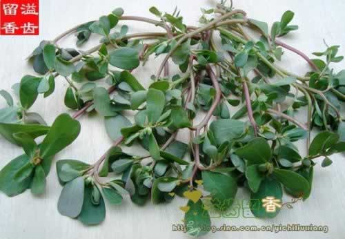 ���������������������