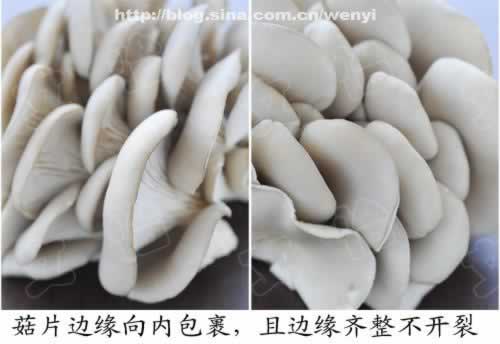 ��ô��ѡ���ʵ�ƽ��������