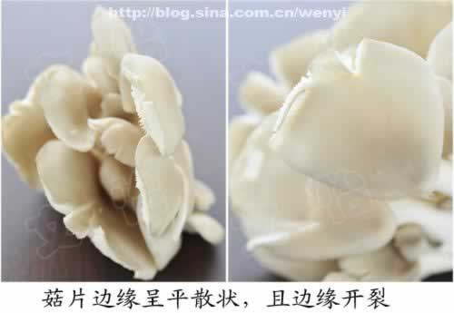 ��ô��ѡ���ʵ�ƽ��������