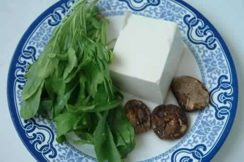 ���˶�����������