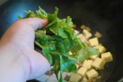 ���˶�����������