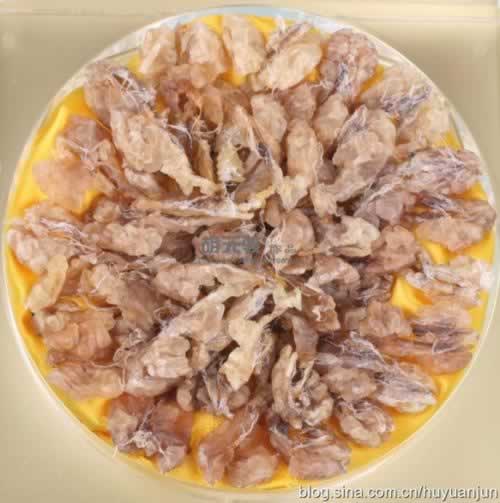 ľ�ϱ�����ѩ�������