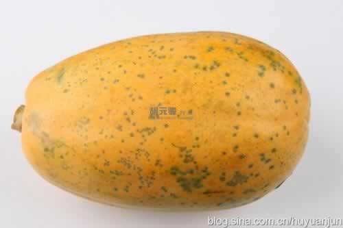 ľ�ϱ�����ѩ�������