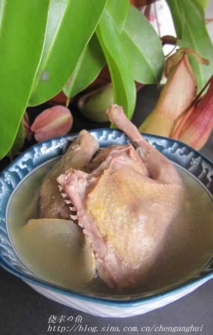 ����̶���������