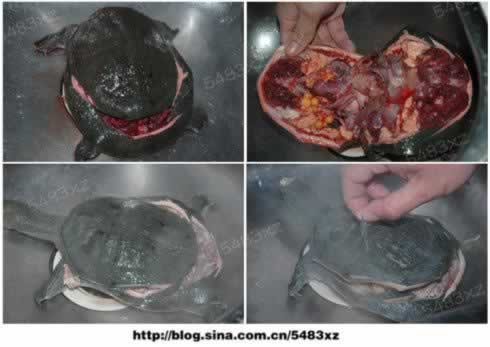 ���ռ��������