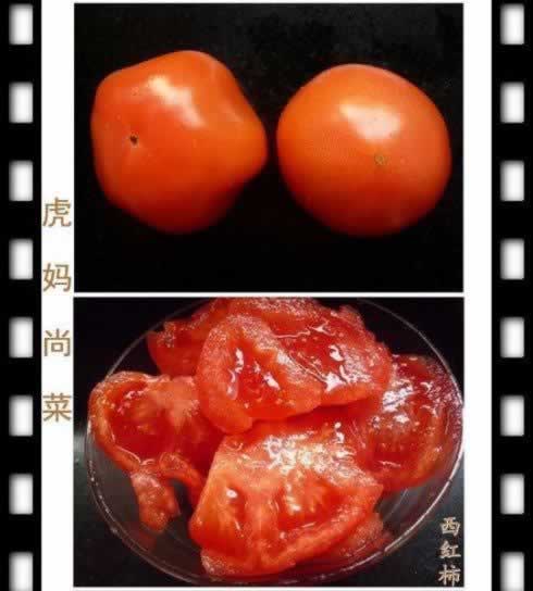 如何挑番茄的做法