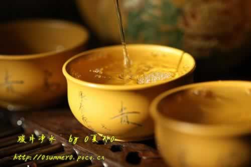 ����̿Ƭ������