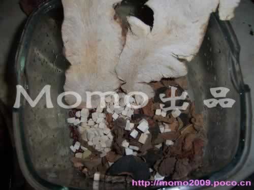 ľ�޻���ʪ��������