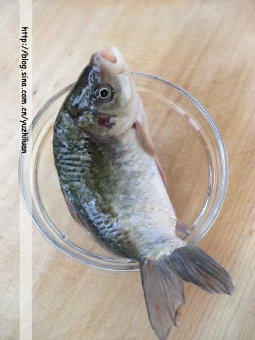 ������ʰһ���������