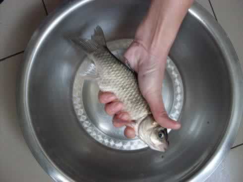 ������ʰһ���������