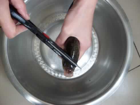 怎样收拾一条鱼的做法