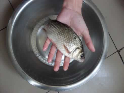 怎样收拾一条鱼的做法
