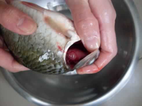 怎样收拾一条鱼的做法