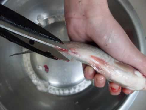 ������ʰһ���������