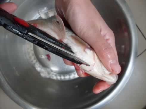 ������ʰһ���������