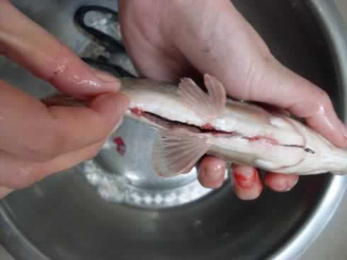 怎样收拾一条鱼的做法