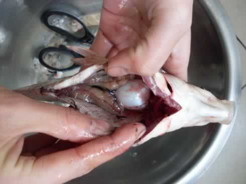 ������ʰһ���������