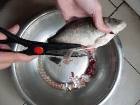 怎样收拾一条鱼的做法