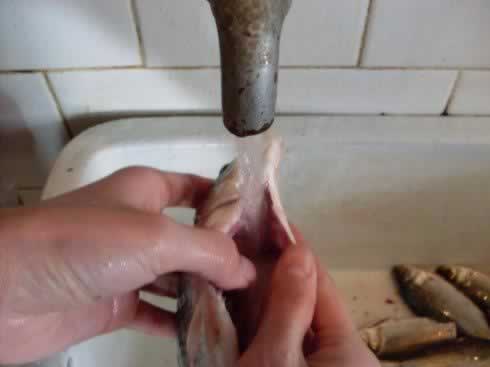 ������ʰһ���������