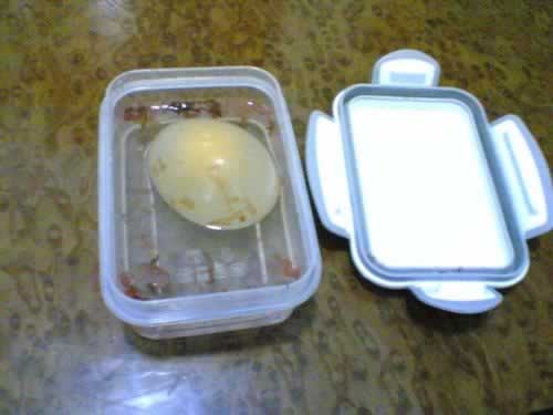 �״��ݼ���������