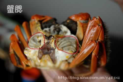 �з����Щ��λ��Ҫ�Ե�����