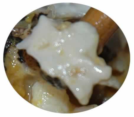 �з����Щ��λ��Ҫ�Ե�����