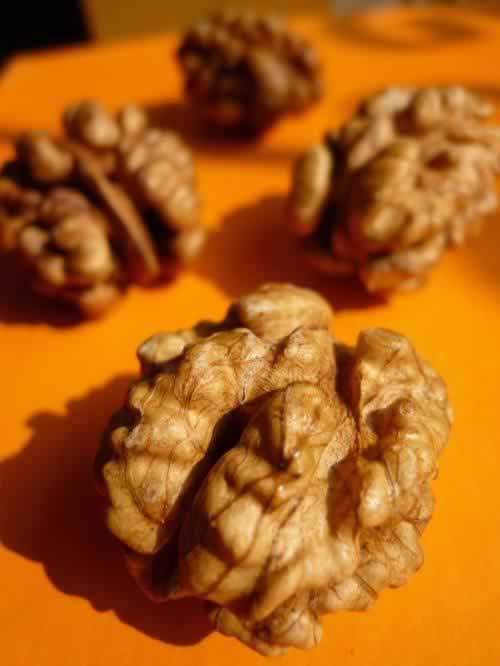 �����ҵ����ŵ�����