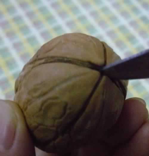 �����ҵ����ŵ�����