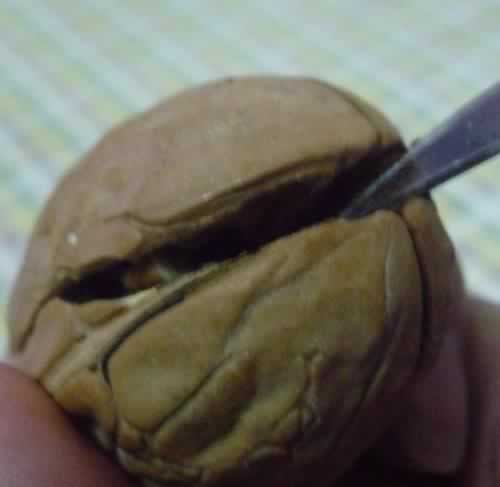 �����ҵ����ŵ�����