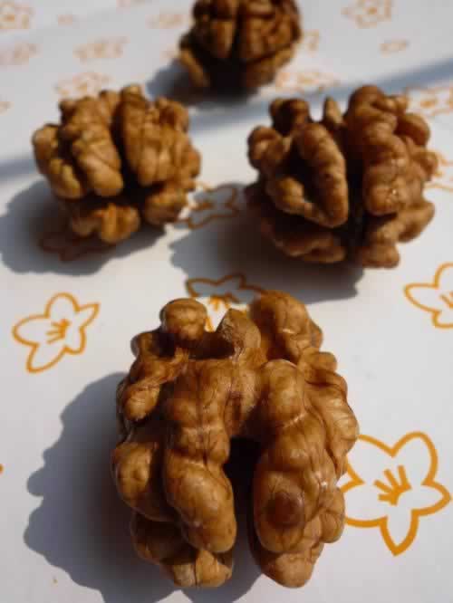 �����ҵ����ŵ�����