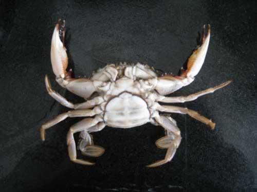 ������з������