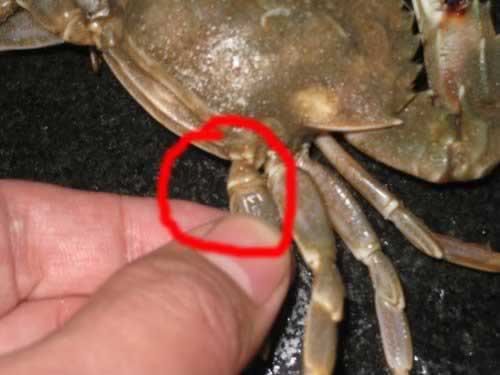 ������з������