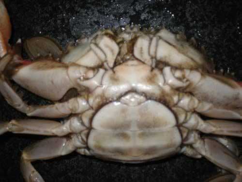 ������з������