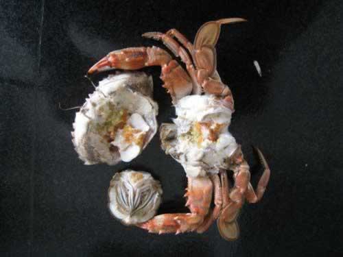 ������з������