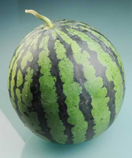 ���ϵ��з�������