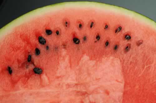 ���ϵ��з�������