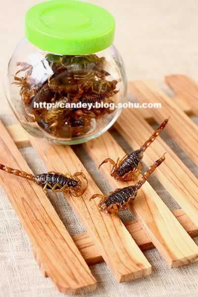 ��ըЫ�ӵ�����