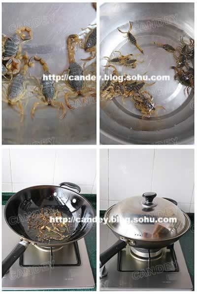 ��ըЫ�ӵ�����