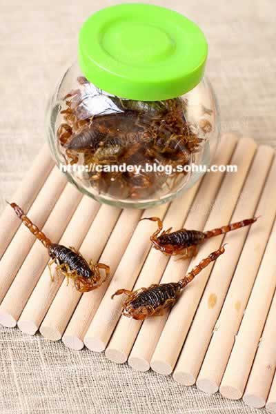 ��ըЫ�ӵ�����