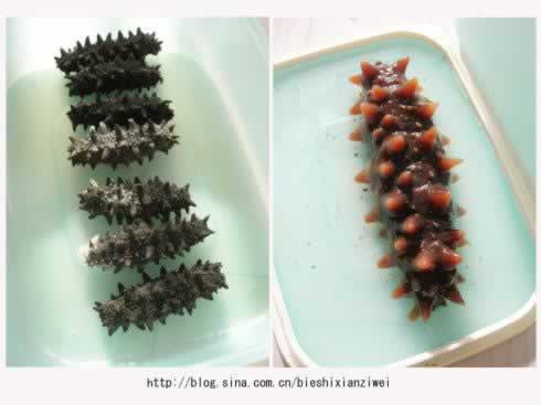 ͼ�⺣�η��ƹ��̵�����