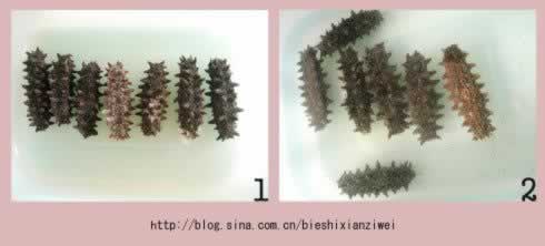 ͼ�⺣�η��ƹ��̵�����