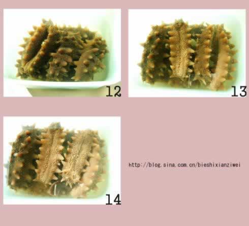 ͼ�⺣�η��ƹ��̵�����