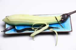 ��ζз�����ӵ�����