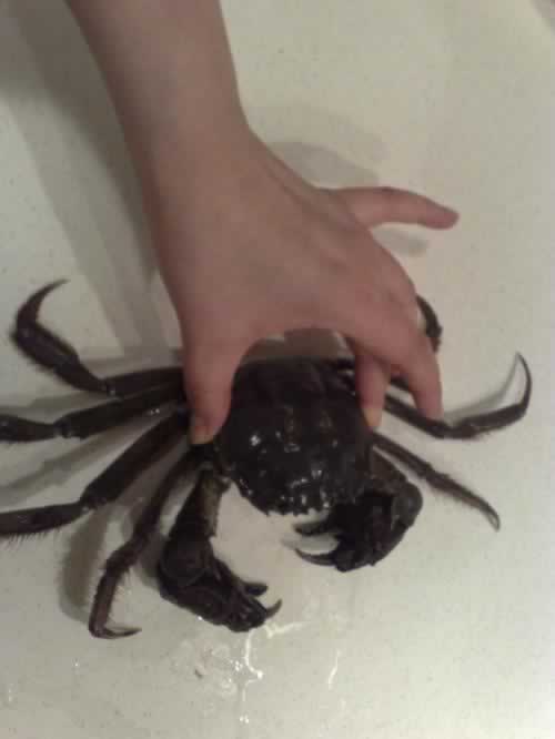 ��ѡ��բз�ļ����ĵõ�����